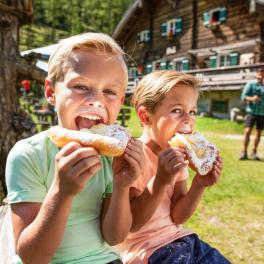 flachau im sommer