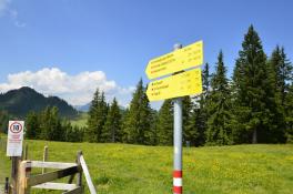 Wandern am Grafenberg