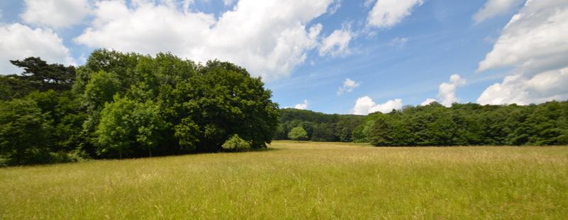 Naturpark Föhrenberge